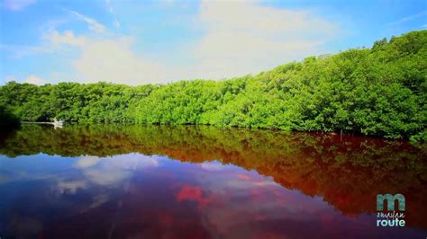 Reserva De La Biosfera Los Petenes Campeche Youtube