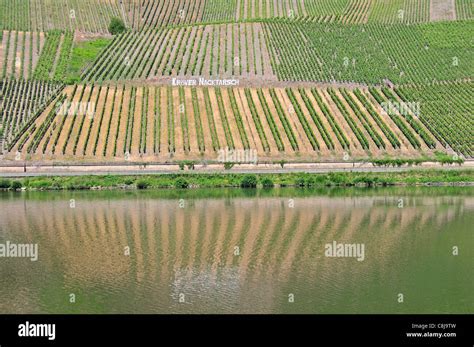 Deutschland Europa Tolle Lage Kr V Kr Ver Mosel Nacktarsch Wein