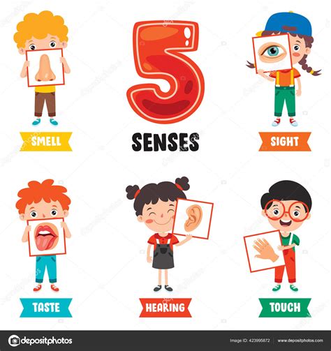 Five Senses Concept Human Organs Stock Vector Image By Yusufdemirci