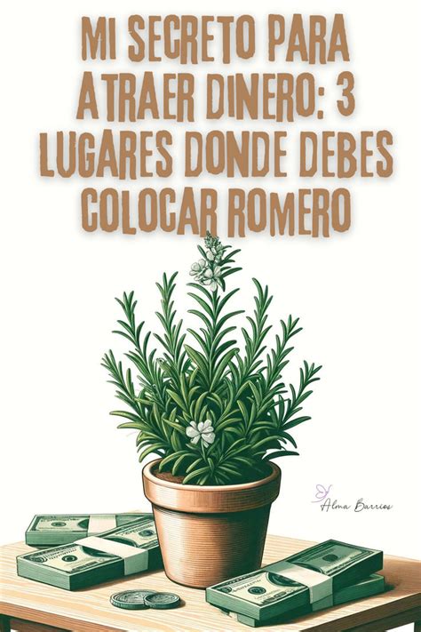 Mi Secreto Para Atraer Dinero Lugares Donde Debes Colocar Romero En