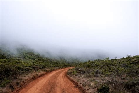 Foggy Road · Free Stock Photo