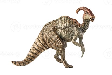 Parasaurolophus Dinosaur On White Background 8844302 Png