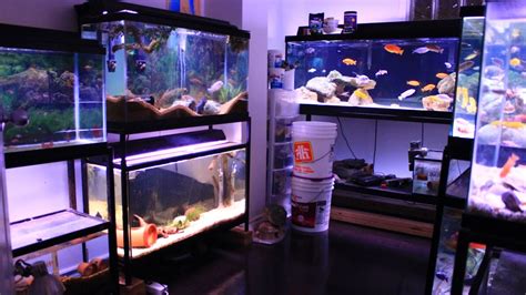 FISH ROOM TOUR - YouTube