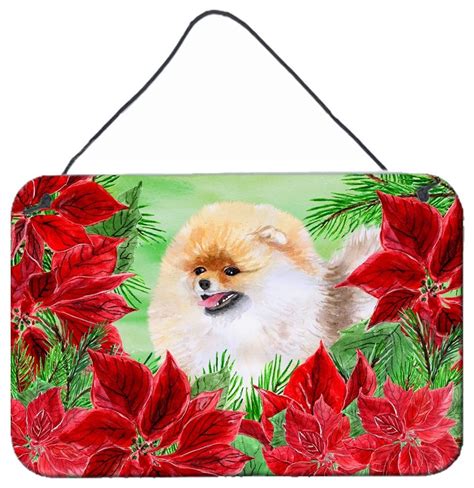 Pomeranian Poinsettas Wall Or Door Hanging Prints CK1330DS812