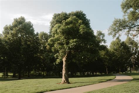 General 4 — The Parthenon