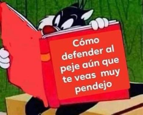 Jorge Armando Rocha on Twitter Sí están molestos