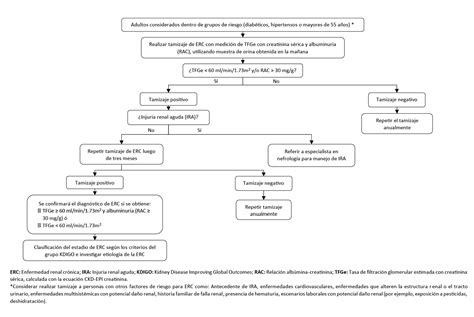 Guía De Práctica Clínica Para El Tamizaje Diagnóstico Y Manejo De La