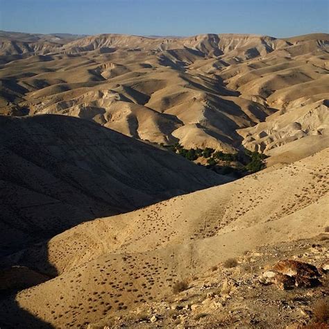 Apunts de Viatge: DESIERTO DE JUDEA OFF-ROAD