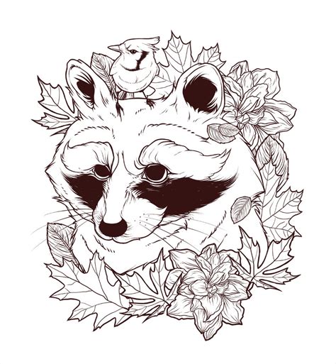 Раскраска енот ракета (много фото) - drawpics.ru