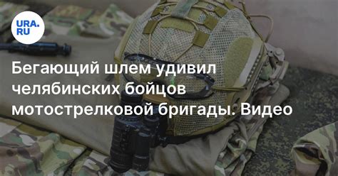 В зоне СВО котенок украл шлем у челябинского бойца: видео