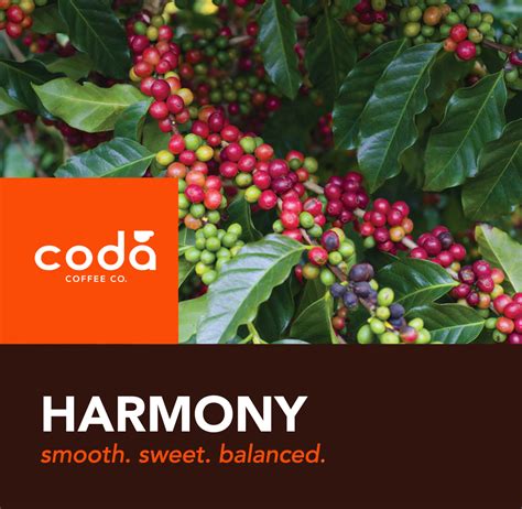 Hidden Blends — Coda Coffee Company