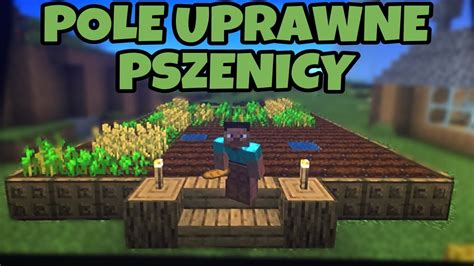 Zbudowa Em Pole Uprawne Pszenicy Na Jankopolii W Minecraft