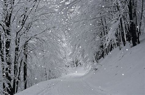 Pin by Raya Bayramova on Зимние Пейзажи - Winter landscapes | Snow gif ...