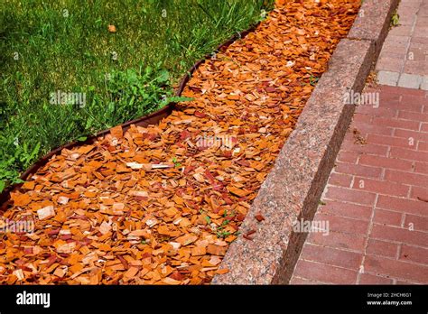 Coniferous Pine Mulch On The Park Lawn Beautiful Landscape Design With