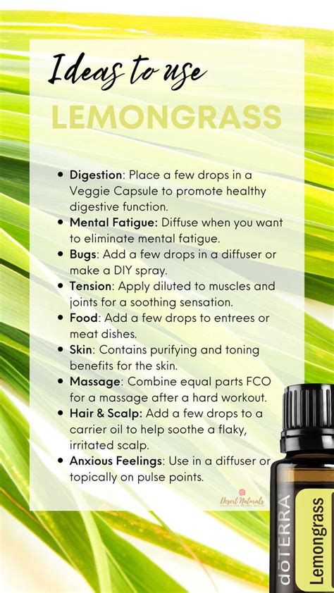 30 Benefits And Ways To Use Lemongrass Essential Oil Diffuser Blends