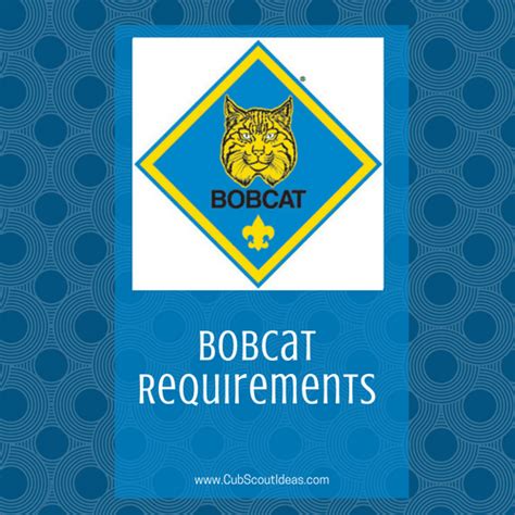 Bobcat Requirements Worksheet