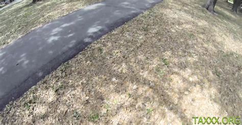 Sultry Brunette Sweetheart Tanielle Gets Her Fanny Banged