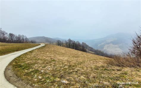 Platforma Widokowa Limak W Woli Kroguleckiej Panorama Beskid W