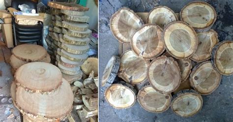 Поделки из пней