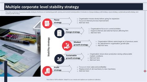 Multiple Corporate Level Stability Strategy Ppt Slide