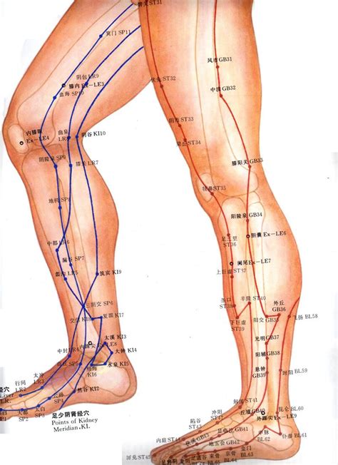 Tai Chi Qigong Charts Meridian Acupuncture Acupuncture Points Chart