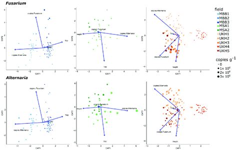 Linear Discriminant Analysis Effect Size Lefse Depicting Differential