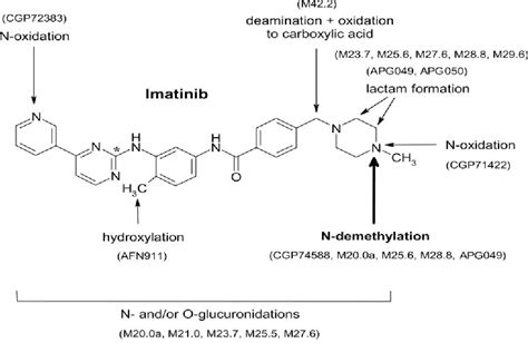 Figure From Metabolism And Disposition Of Imatinib Mesylate In