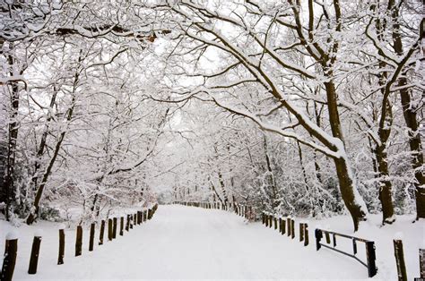 Snowy Day Wallpapers - 4k, HD Snowy Day Backgrounds on WallpaperBat