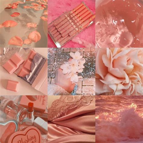 Download Soft Pink Aesthetic Collage Wallpaper