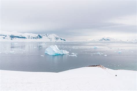 What’s It Like to Travel to Antarctica with Quark Expeditions?