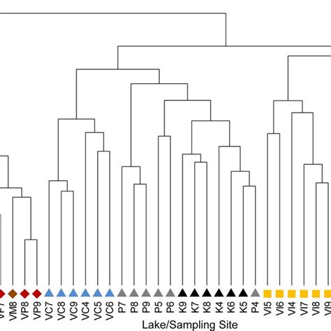 Dendrogram Of Cluster Analysis Based On The Braycurtis Similarity