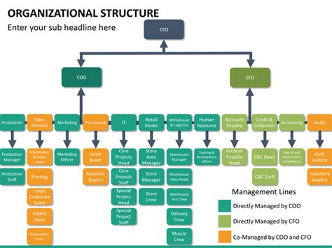 Cfo Organizational Chart A Visual Reference Of Charts Chart Master