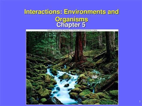 PPT - Interactions: Environments and Organisms PowerPoint Presentation ... 