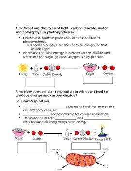 Photosynthesis And Cellular Respiration Fill In The Blank Notes By Tara