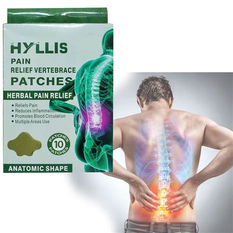 Hyllis Pain Relief Vertebrace Patches 10 Patches Shopee Philippines