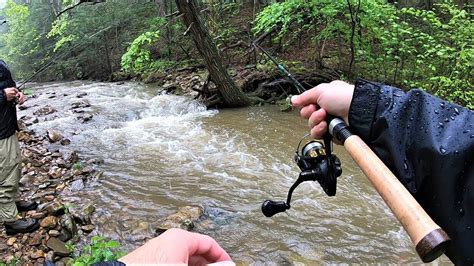 Small Creek Trout Fishing With Spinners Youtube