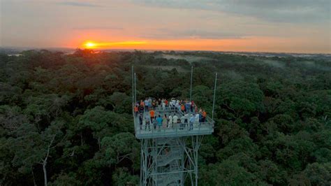 Musa Em Manaus Exp E Encantos E Riqueza Da Floresta Amaz Nica