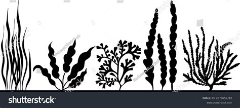 Seaweed Black Silhouette Isolated Vector Stock Vector (Royalty Free) 2070055742 | Shutterstock