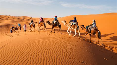 Sorprentes Curiosidades Sobre El Desierto Del S Hara