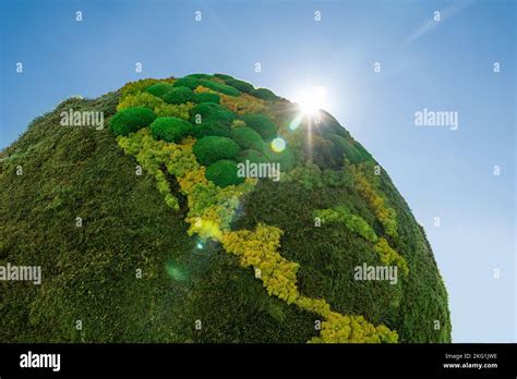 Planeta Tierra verde a partir de musgo natural Símbolo del desarrollo