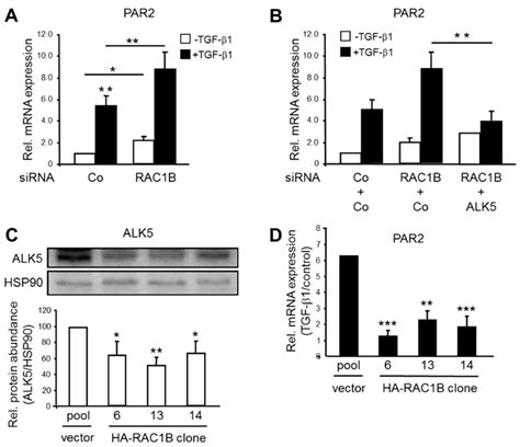 Effect Of Par2 Knockdown On Tgf β1 Induced Growth Inhibition In Panc1