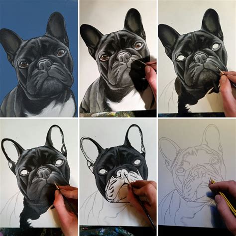 French Bulldog Frenchie Bulldog Pet Portrait The Dog Painter