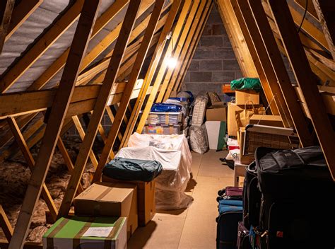 How to find the best items on the loft outlet website 19