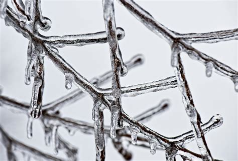 ice storm      ice storm stock  hd images