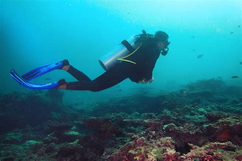 Discover Scuba Diving Echo Adventures