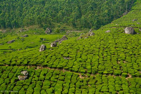 Munnar Gap Road | Abhinav Raveendran Photography