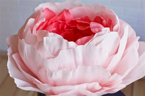 Beauty All Around Giant Italian Crepe Paper Peony