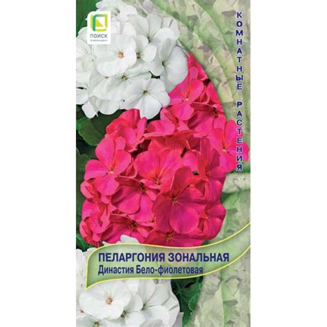 Семена Пеларгония зональная Династия Бело-фиолетовая 5, Поиск купить в ...