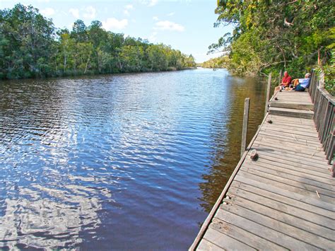 Harrys Day Use Area Cooloola Recreation Area Great Sandy National