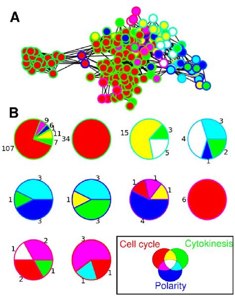 Segregation Of Functional Communities In The Core Network A Clique